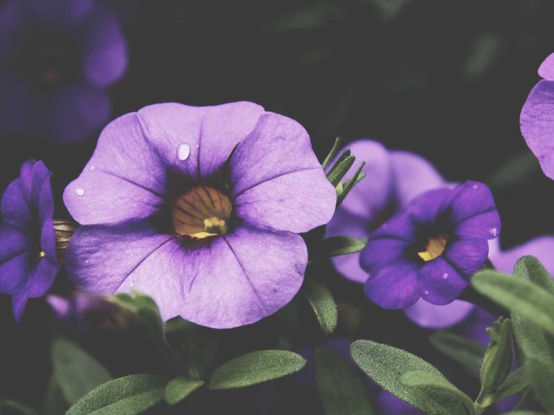 sudoku training mode screenshot 2